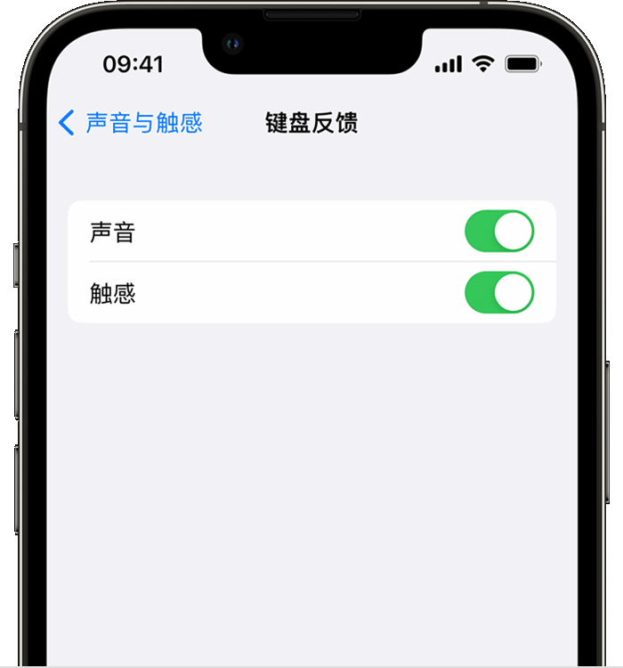 井冈山苹果14维修店分享如何在 iPhone 14 机型中使用触感键盘 