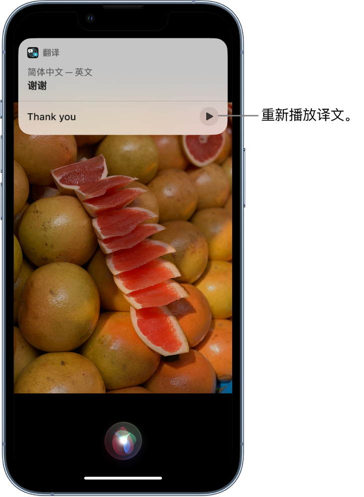 井冈山苹果14维修分享 iPhone 14 机型中使用 Siri：了解 Siri 能帮你做什么 