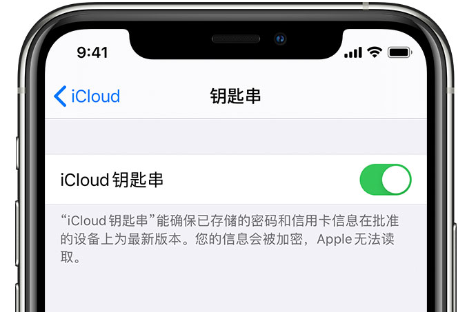 井冈山苹果手机维修分享在 iPhone 上开启 iCloud 钥匙串之后会储存哪些信息 